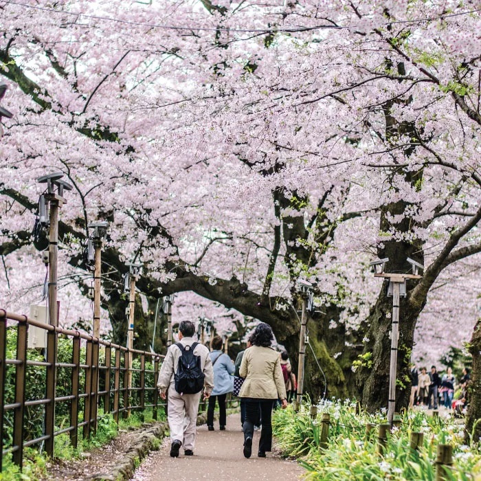 Tokyo in Japan
