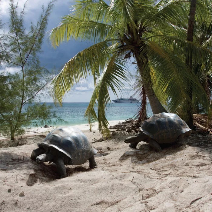 Baie Ste Anne, Seychelles