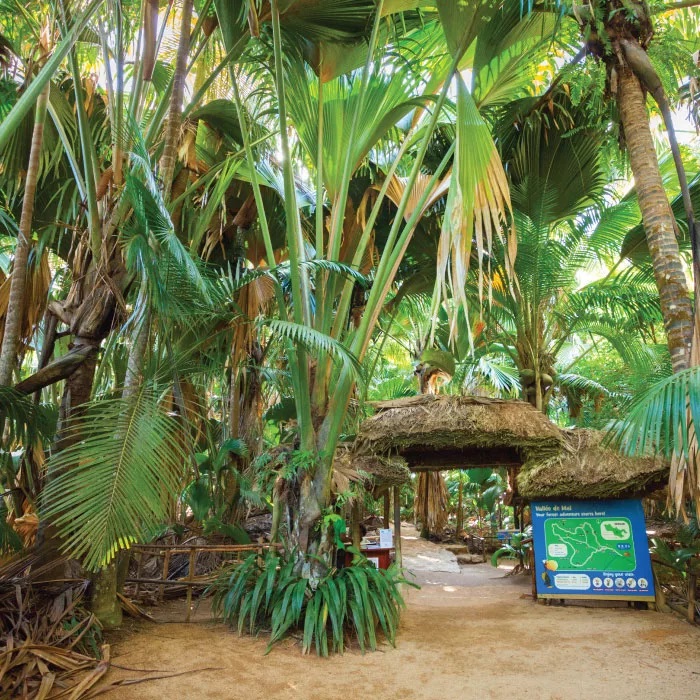 Baie Ste Anne, Seychelles