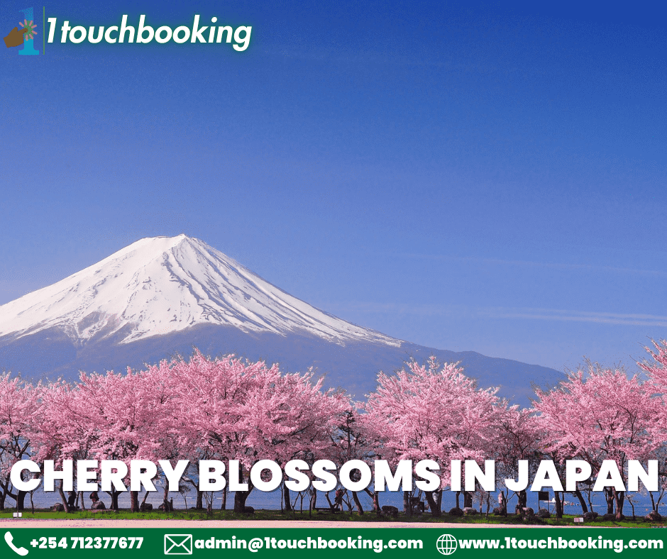 TOP 5 LOCATIONS TO SEE SPECTACULAR CHERRY BLOSSOMS IN JAPAN
