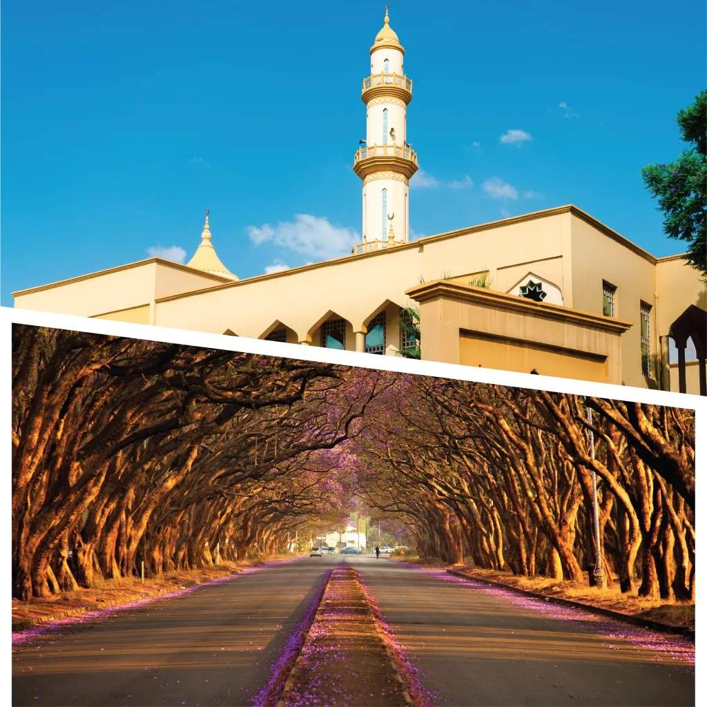NAVIGATE THE WORLD WITH T3: OUR GLOBAL BRANCH NETWORK AND TRAVEL SOLUTIONS