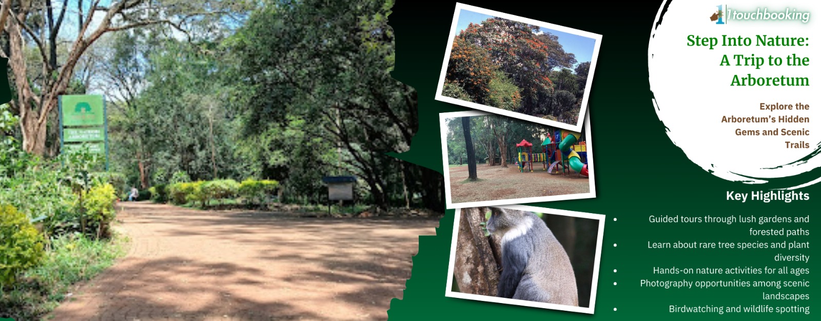TOUR THE MAGICAL NAIROBI ARBORETUM SCENERY