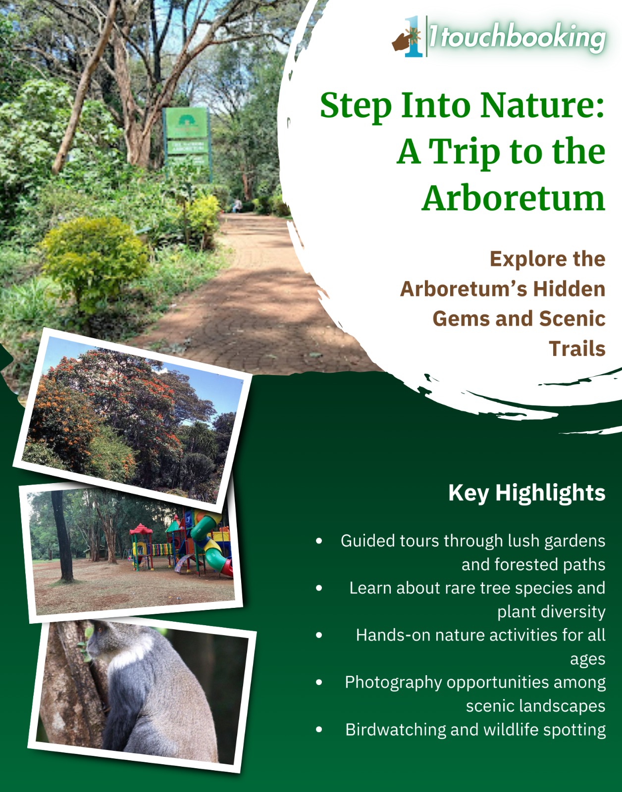 TOUR THE MAGICAL NAIROBI ARBORETUM SCENERY