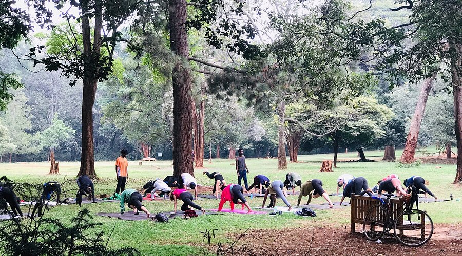 Arboretum Park, Nairobi, Kenya