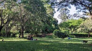 Arboretum Park, Nairobi, Kenya