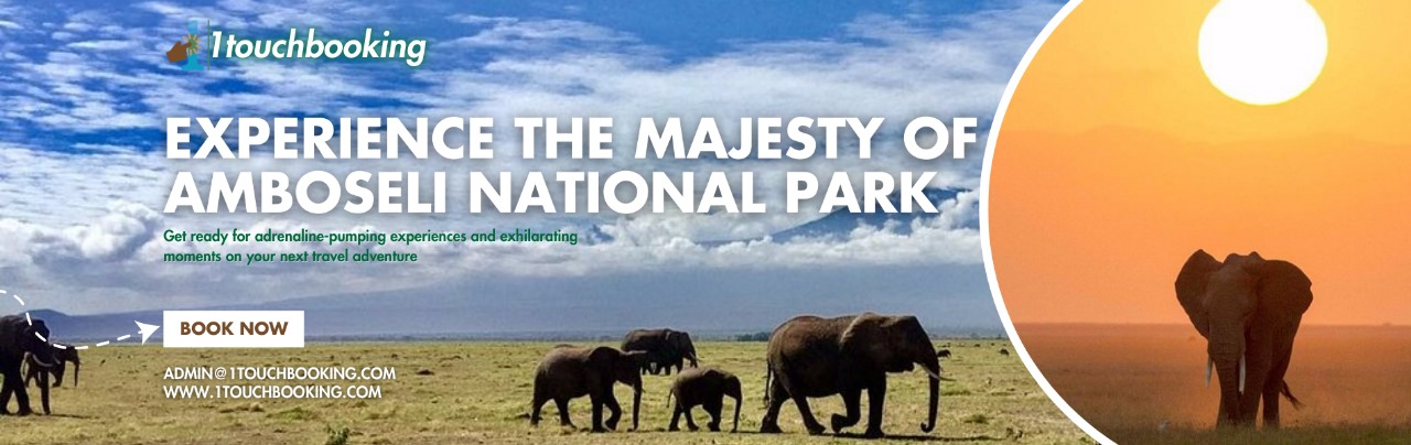 JOURNEY THROUGH AMBOSELI- A SAFARI EXPERIENCE
