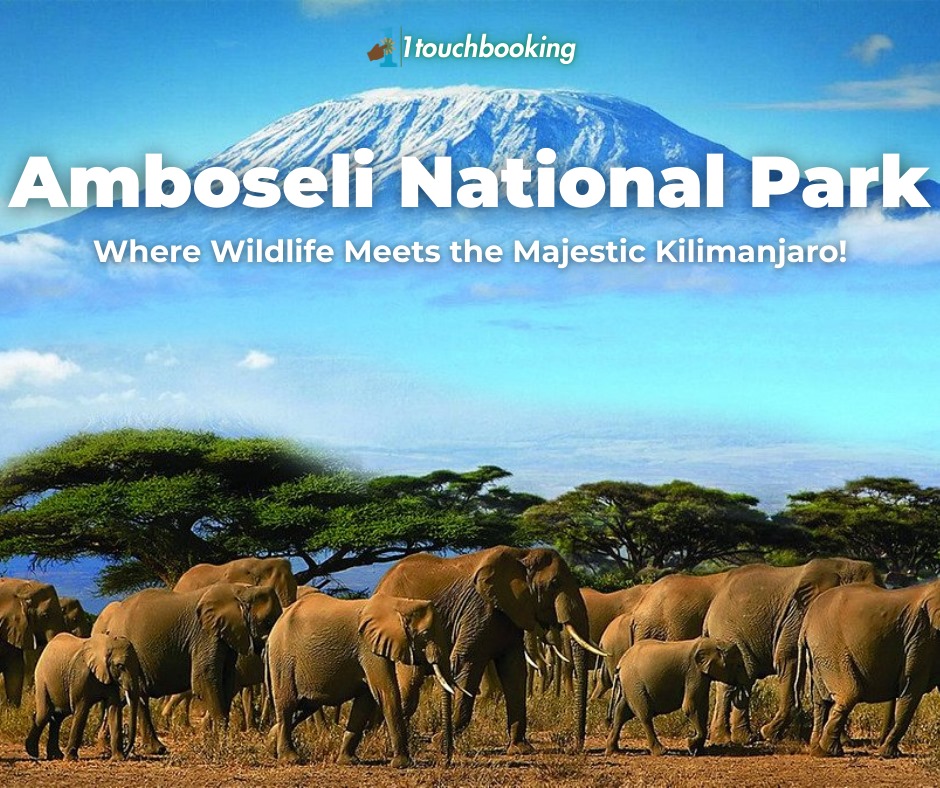 JOURNEY THROUGH AMBOSELI- A SAFARI EXPERIENCE
