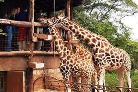 Langata, Nairobi