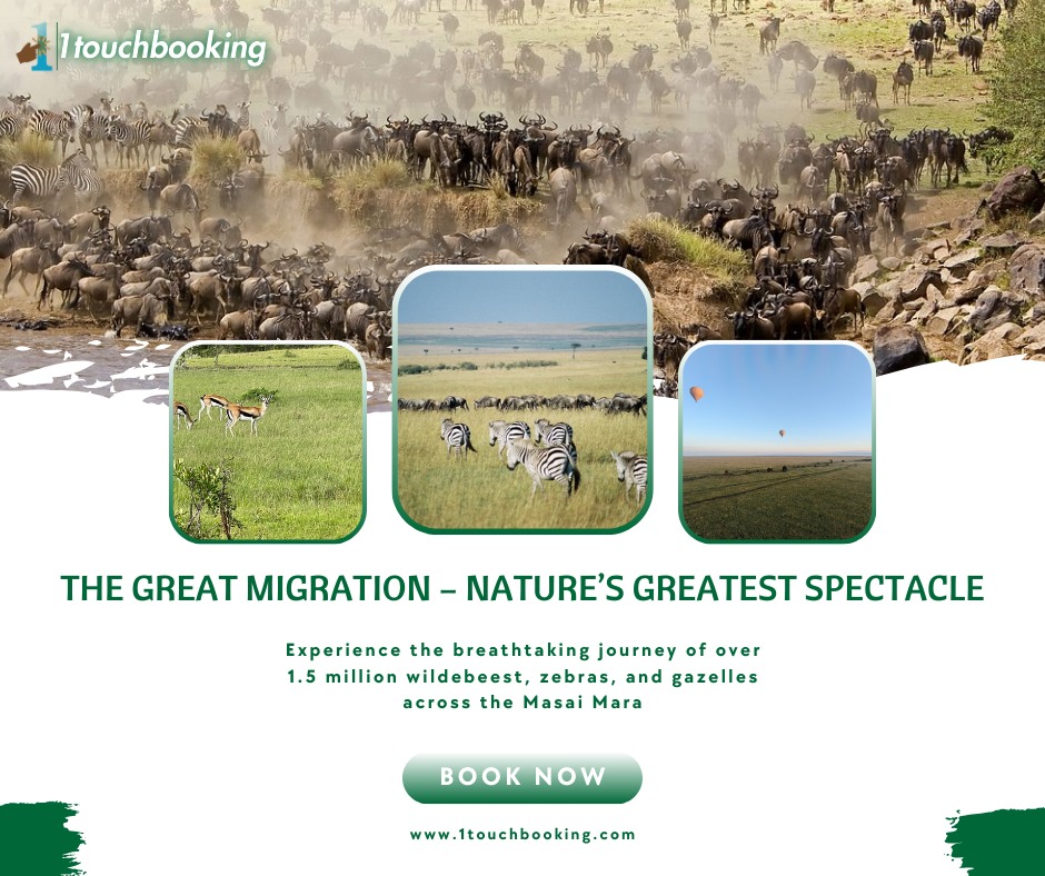 A TRIP TO MAASAI MARA