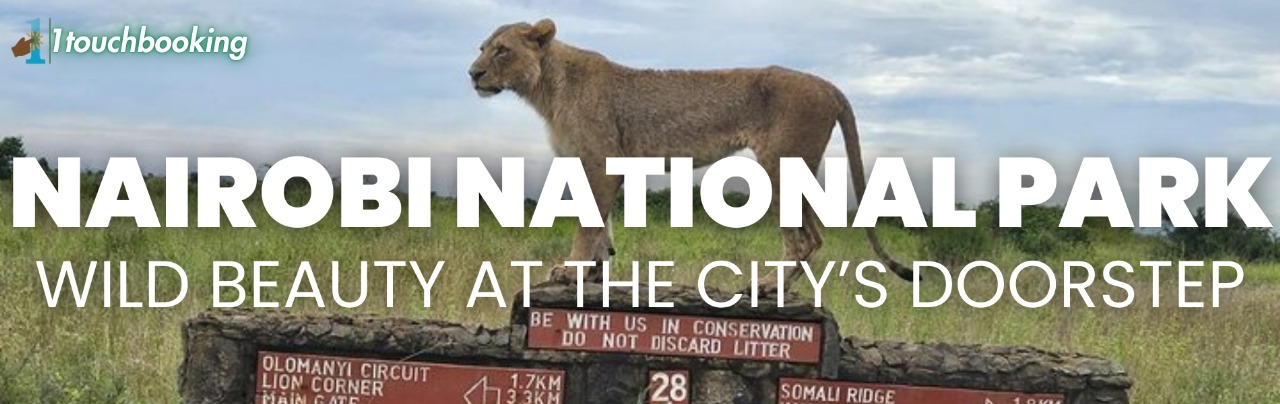 JOURNEY THROUGH NAIROBI- AN EVENT OF WILDLIFE AND HERITAGE